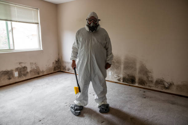 Best Mold Remediation for Healthcare Facilities  in Winlock, WA
